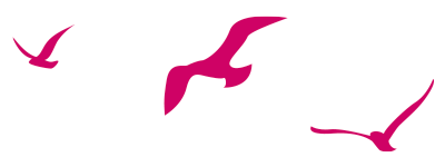 oiseaux